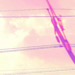 一道本免费视频
