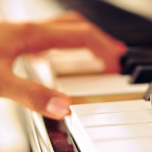 一道本免费视频
