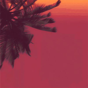 一道本免费视频
