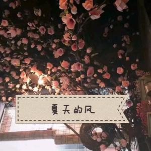 一道本免费视频
