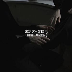 一道本免费视频
