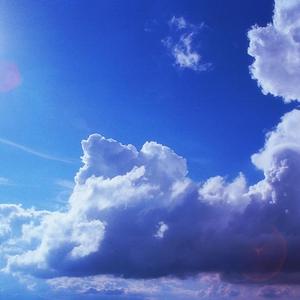 一道本免费视频
