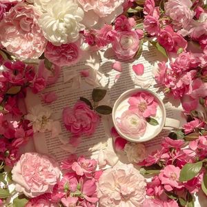 一道本免费视频
